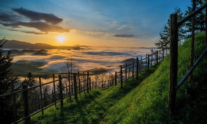 Zalec Bed & Breakfast | Single bedroom at the idyllic location surrounded by nature