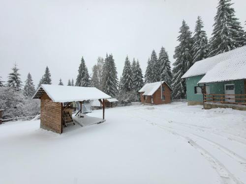 Sincraieni House | Sipi Kulcsosházak