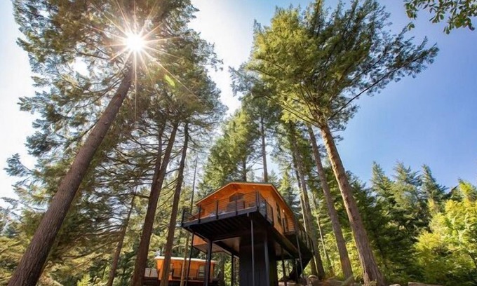 Stevenson House | Skamania Lodge, Pet-friendly Unit, Free Parking, Pool, Spa, Hot Tub