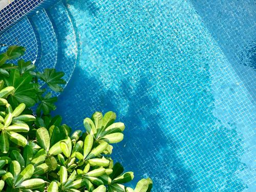 Chamkar Mon Hotel | SKY VILLA - BKK Phnom Penh - Rooms & Apartments - FREE LAUNDRY