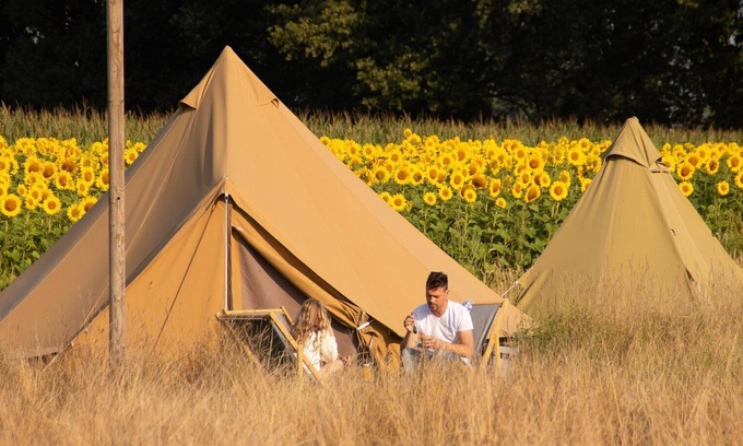 Notter Cabin | Sleep in Mölkes backyard! Enjoy a wonderful festival atmosphere and make use of all our facilities!