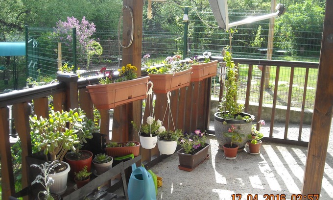 Vitosha District House | Small Beutiful House With Separate Entrance In The Outskirts Of Vitosha Mountain