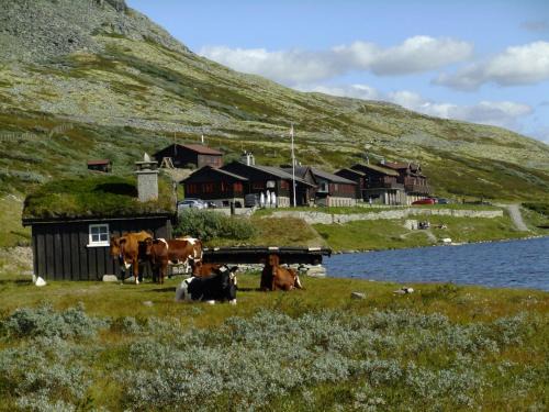 Sel Hotel | Smuksjøseter Fjellstue