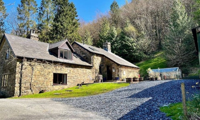Mawddwy Other | Snowdonia woodland retreat - stunning views & private woodland