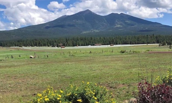 Fort Valley House | Snowmaking is underway, Live, love, SKI!