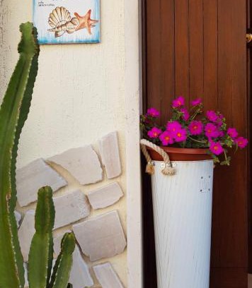 Formia House | Sogno Mediterraneo
