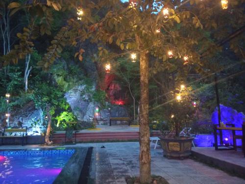 Phong Nha Hotel | Song Toan Hotel