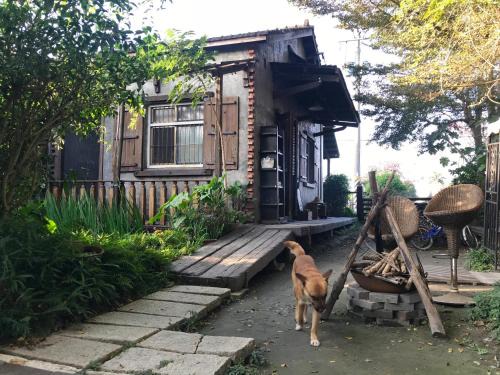 Tianwei House | Soothing Stay Backpackers Inn