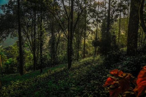 Udumbanchola Resort | Southern Panorama Indriya Resorts & Spa
