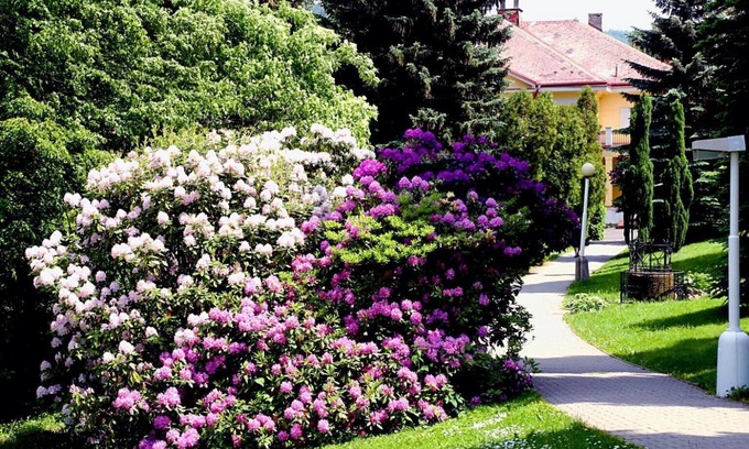 Lazne Libverda Hotel | Spa Resort Libverda - Villa Friedland