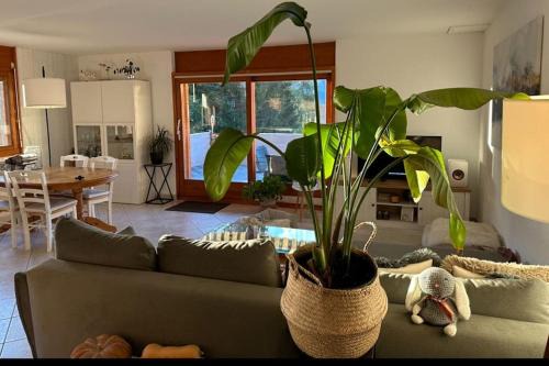 Ovronnaz Apartment | Spacieux et cosy à Ovronnaz