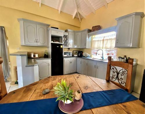 Vieux Fort Apartment | Spacious 2-Bedroom, 2-Bath Apartment 5 Mins to Sandy Beach & Airport