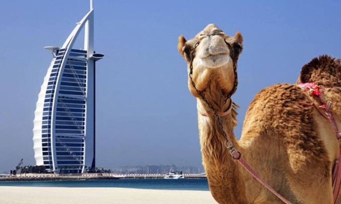 Trade Center Apartment | Spacious 2 Bedroom w/Infinity Pool Near DWTC