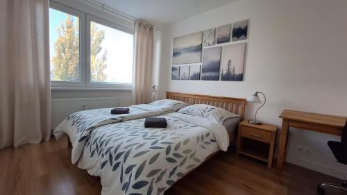 Zapad Apartment | Spacious apartment in the park