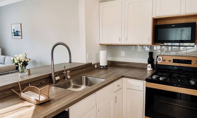 Downtown Apartment | Spacious City View Dwntown Norfolk apt