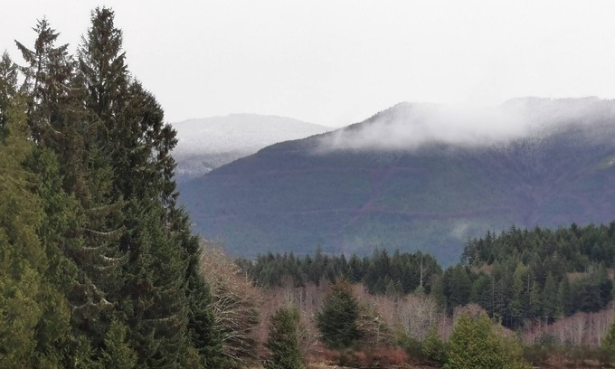 Ucluelet House | Spacious Getaway @ Swan View