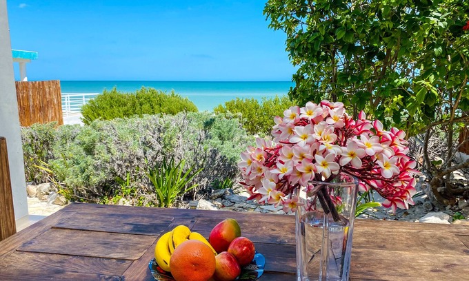 Chuburna Puerto House | Spectacular beach house with pool