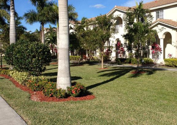 Naranja House | Speedway Blvd Townhouse