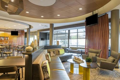 New Tampa Hotel | SpringHill Suites Tampa North/Tampa Palms