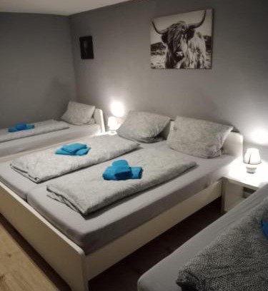 Flensburg Apartment | Stadtnah an der Förde 7504E