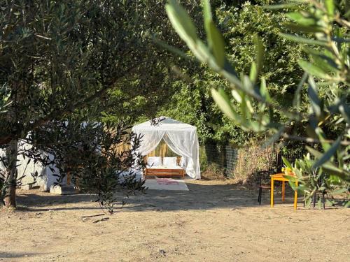 Agios Vasileios Other | Star Sleep Koxare Rethymno
