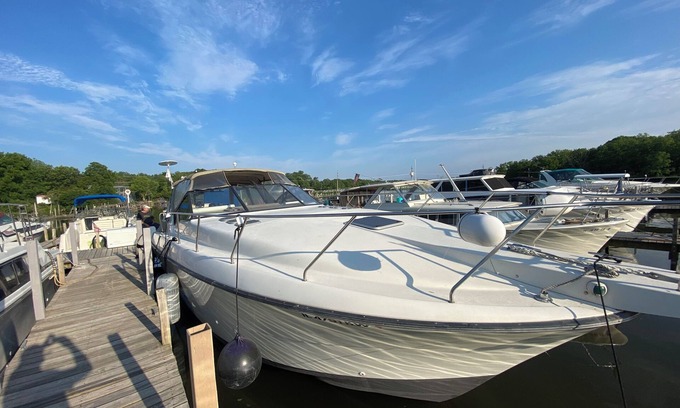 Will County Boat Rental | Stay on Pure Pleasure.