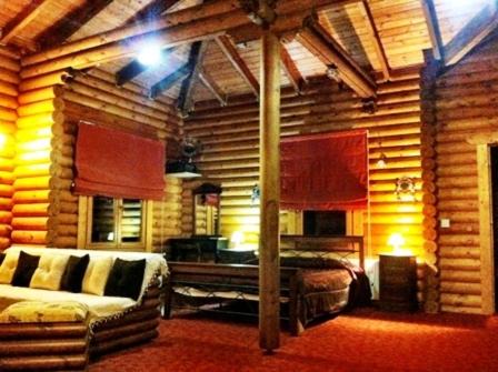 Karpenisi Apartment | Stivakti Chalet