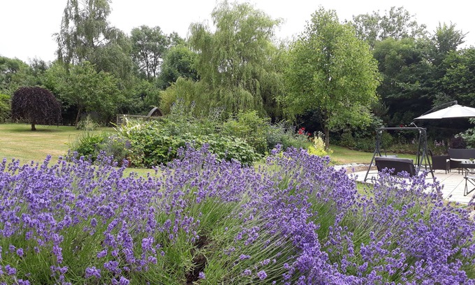 Alweston Bed & Breakfast | Stoneleigh Barn B&B