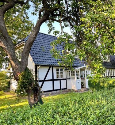 Nykobing Falster Bed & Breakfast | Strandby 1847 B&B