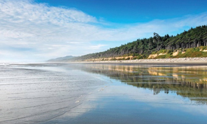 Ocean Park Resort | Stroll down the beautiful beach!
