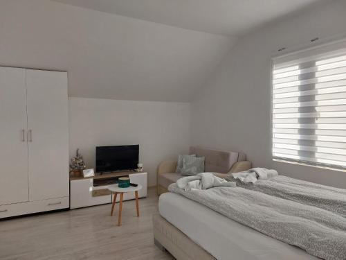 Soko Banja Apartment | Studio Andrijana Sokobanja