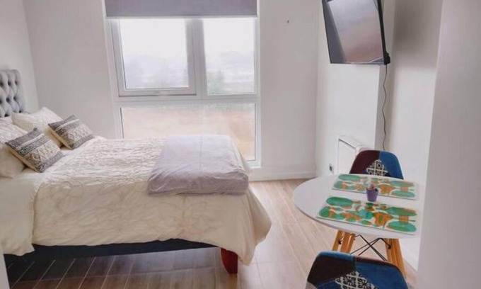 Valdivia Apartment | Studio Apartment 810