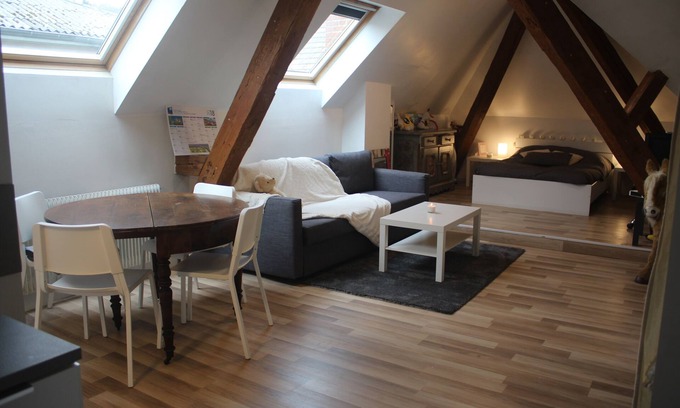 Guebwiller Apartment | Studio apartment .Ideal for couple or family with children. Free parking.