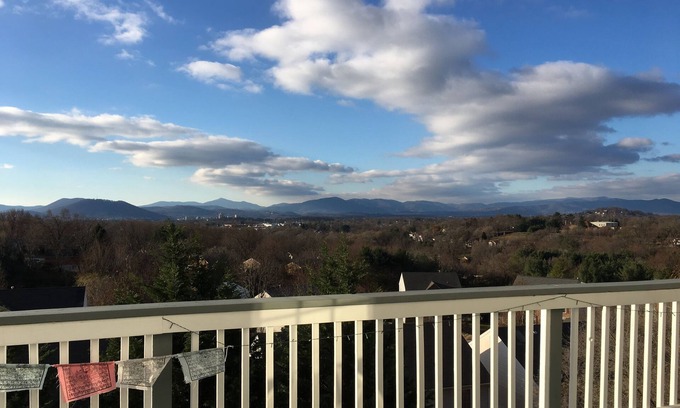 Roanoke Apartment | Studio Apartment with King Bed, Stunning View & Sauna