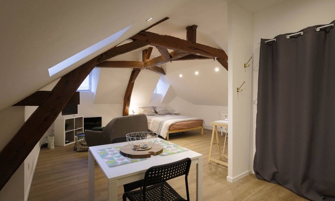 La Fleche Apartment | Studio Hyper center Emeraude ★ ZOO ★ 24h du Mans