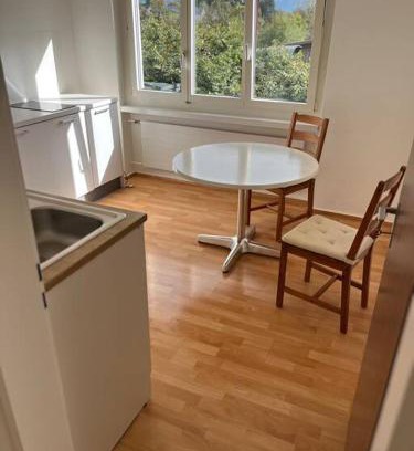 Meilen District Apartment | Studio Jan