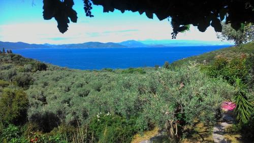 South Pelion Apartment | Studio south Pilion