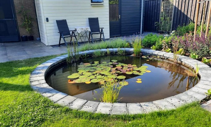 Burgh-Haamstede Bed & Breakfast | Studio ZEEUWS KNOOPJE