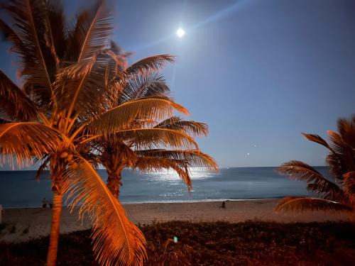 Lauderdale-by-the-Sea Apartment | StudioBTS - Lauderdale-By-The-Sea