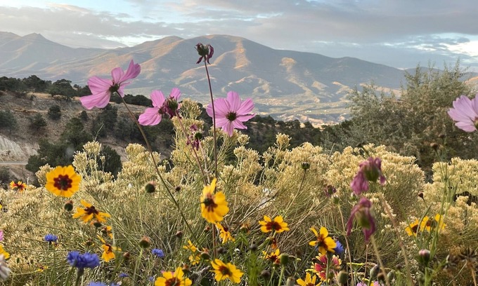 Salida House | Style, Comfort and a Huge View, close to everything!