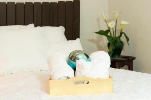 Campestre Apartment | Suite 5A, Altavista, Garden House, Welcome to San Angel