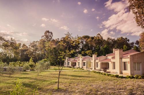 Colonia Estrella Bed & Breakfast | Suites Camacho
