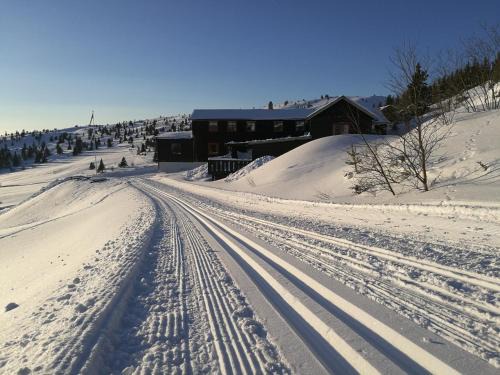 Hundorp Apartment | Sulseter Fjellstugu