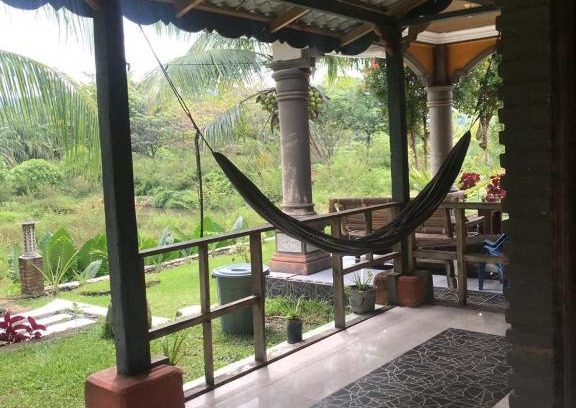Bohorok House | Sumatra Cheeky Monkeys