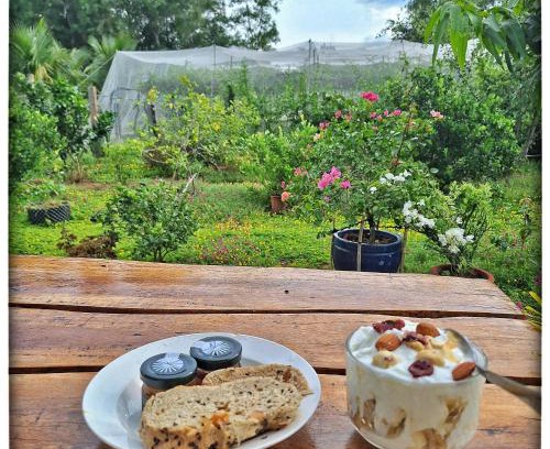 Xuyen Moc House | Summer Stations Homestay Binh Chau - Ho Coc Beach - Vung Tau