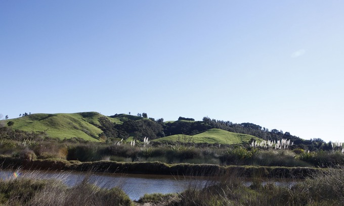Whiritoa House | Sun drenched, peaceful views, immaculate modern home.