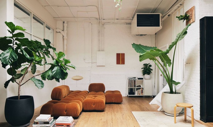 Columbia Street Waterfront District Apartment | Sun Soaked Mid Century Modern Design 2-bedroom Loft in Brooklyn with Pro Kitchen