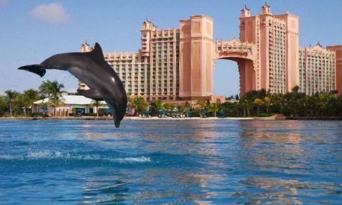 Paradise Island Villa | Sunrise Beach Resort-Same Beach as Atlantis-3 Bedroom-Villa Tropicalia