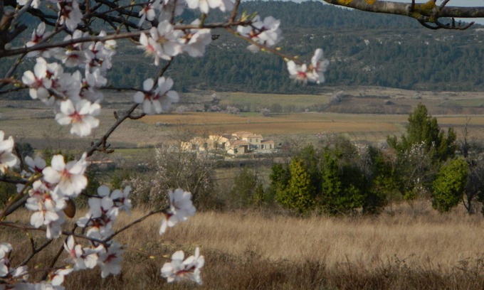 Tournissan Apartment | "Sunset apartment" at La petite Auberge, 1 - 5 p in a haven of peace!
