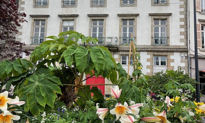 Morlaix House | Superb apartment with full view of Morlaix harbour